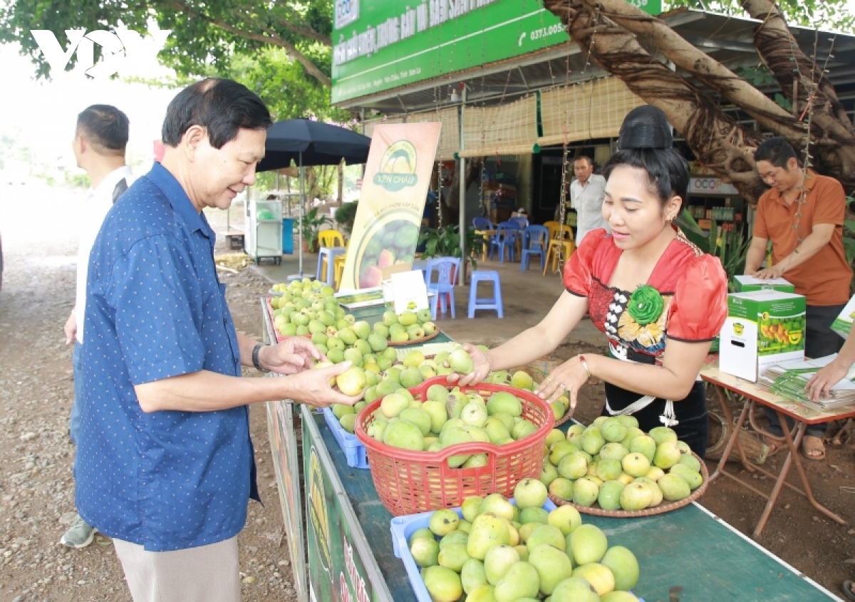 Hoa quả Sơn La rộn ràng xuống phố - Ảnh 13.