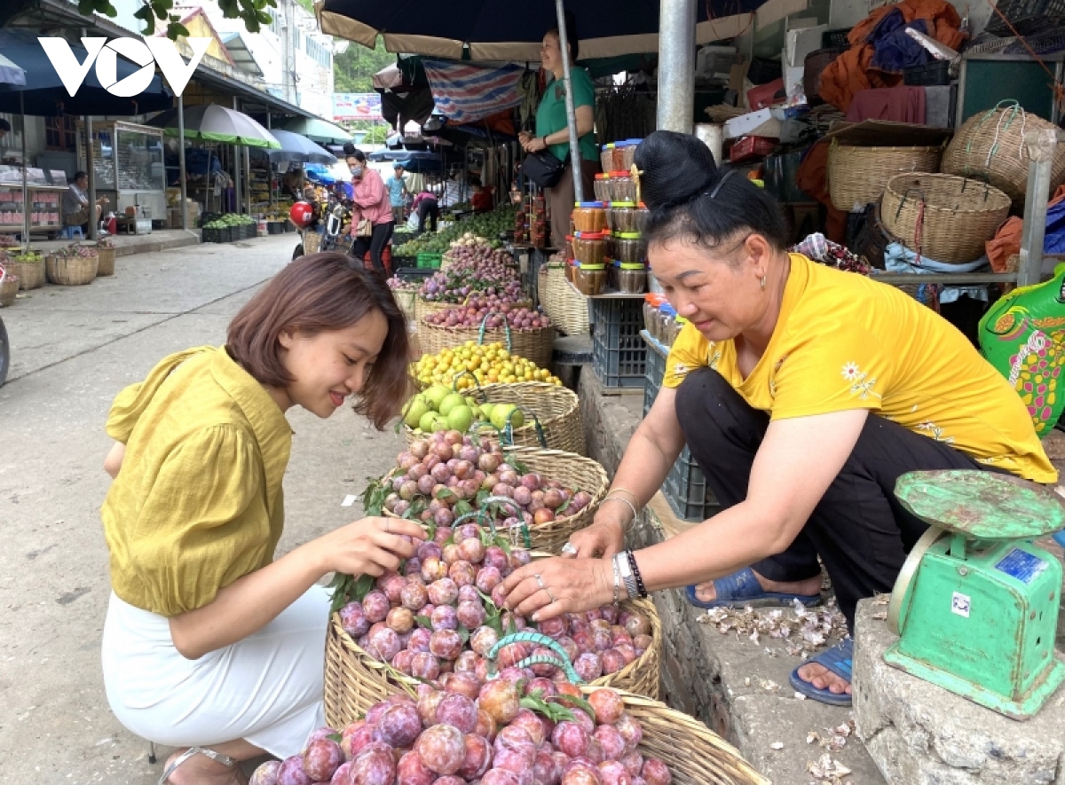 Hoa quả Sơn La rộn ràng xuống phố - Ảnh 7.