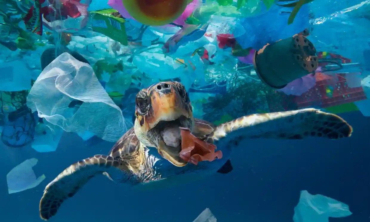 Rác thải nhựa: Mối họa đang xâm chiếm các đại dương - Ảnh 1.