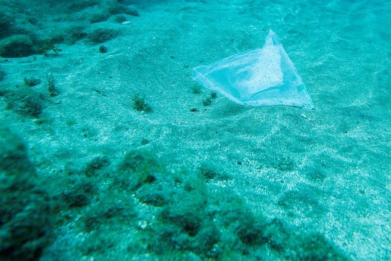 Rác thải nhựa: Mối họa đang xâm chiếm các đại dương - Ảnh 10.
