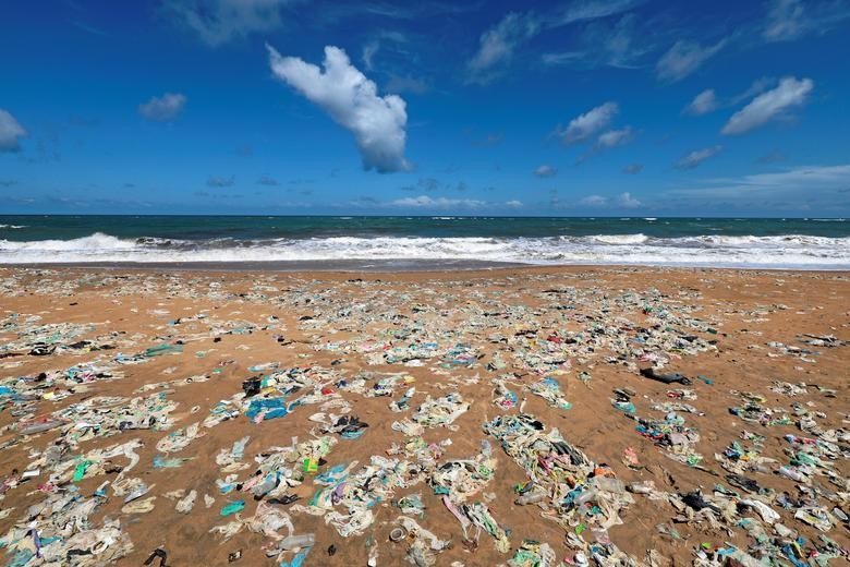 Rác thải nhựa: Mối họa đang xâm chiếm các đại dương - Ảnh 11.
