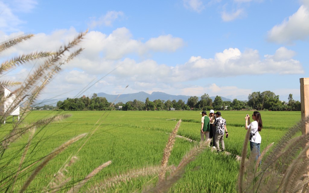 Có một nơi ở An Giang, dân tình kéo nhau ra ruộng uống cà phê mà vẫn thấy mê - Ảnh 12.