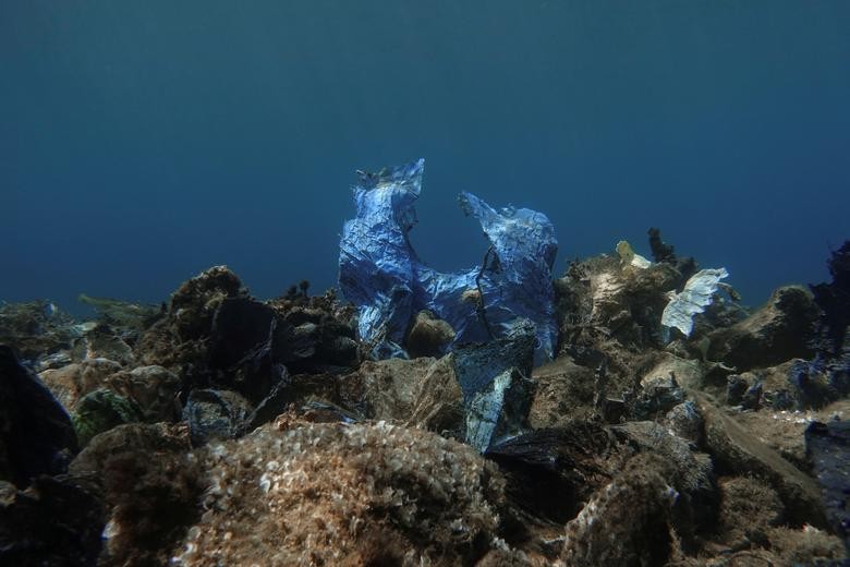 Rác thải nhựa: Mối họa đang xâm chiếm các đại dương - Ảnh 2.
