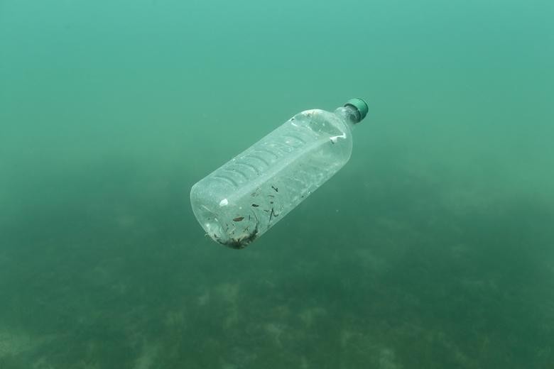 Rác thải nhựa: Mối họa đang xâm chiếm các đại dương - Ảnh 7.