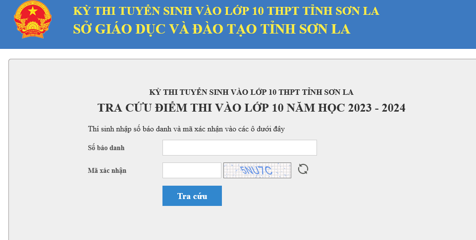 Tra cứu điểm thi tuyển sinh lớp 10 năm 2023: Xuất hiện thủ khoa được điểm 10 môn Toán - Ảnh 3.