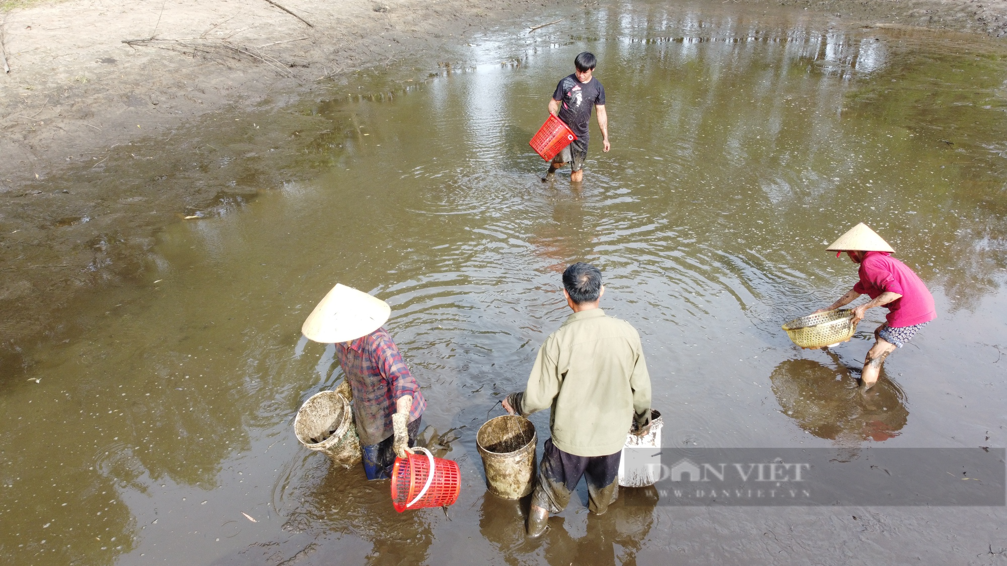 Hà Tĩnh: Người dân ngâm mình trong bùn, cầm rổ bắt những con cá to siêu to - Ảnh 3.