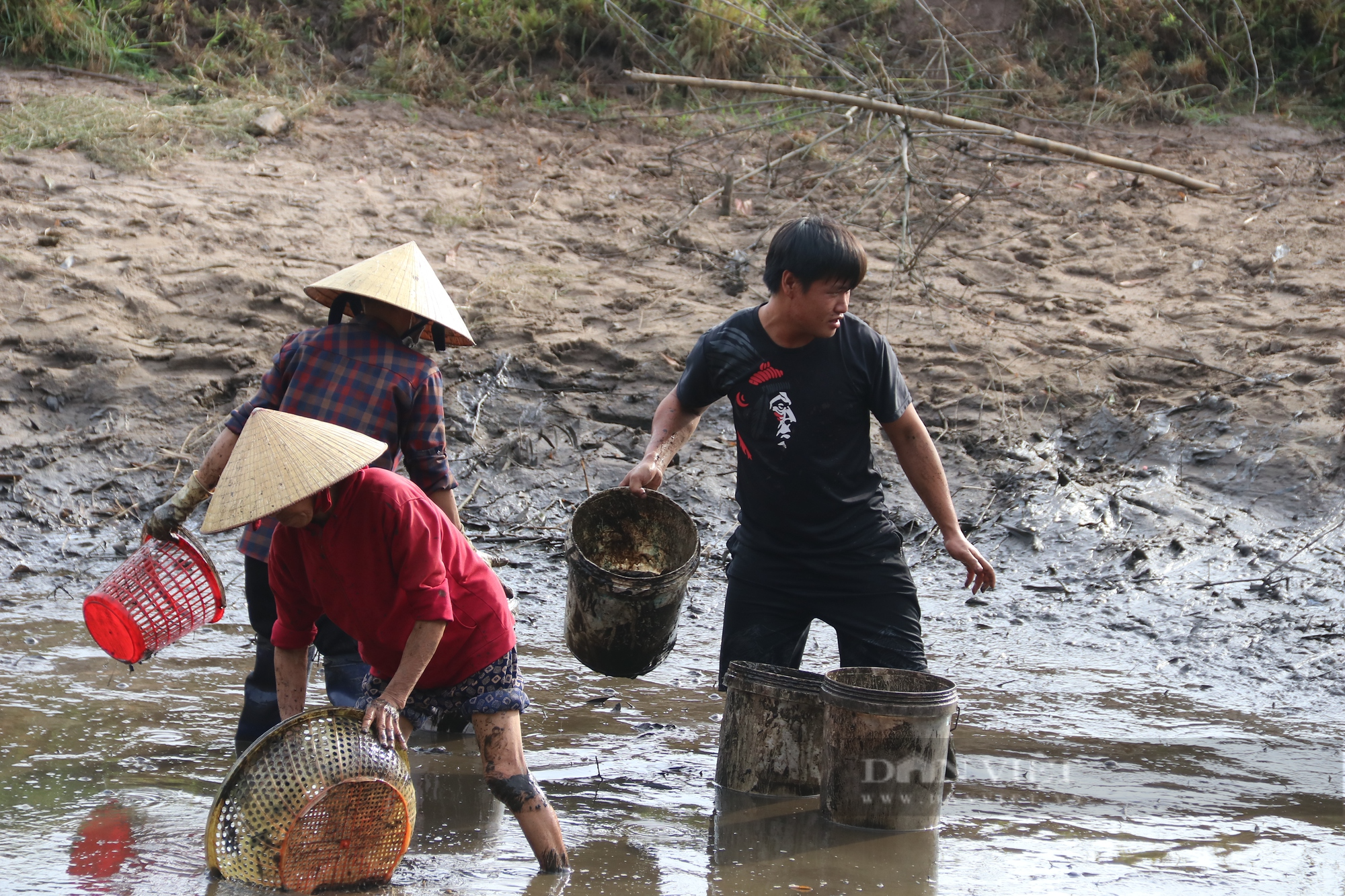 Hà Tĩnh: Người dân ngâm mình trong bùn, cầm rổ bắt những con cá to siêu to - Ảnh 5.