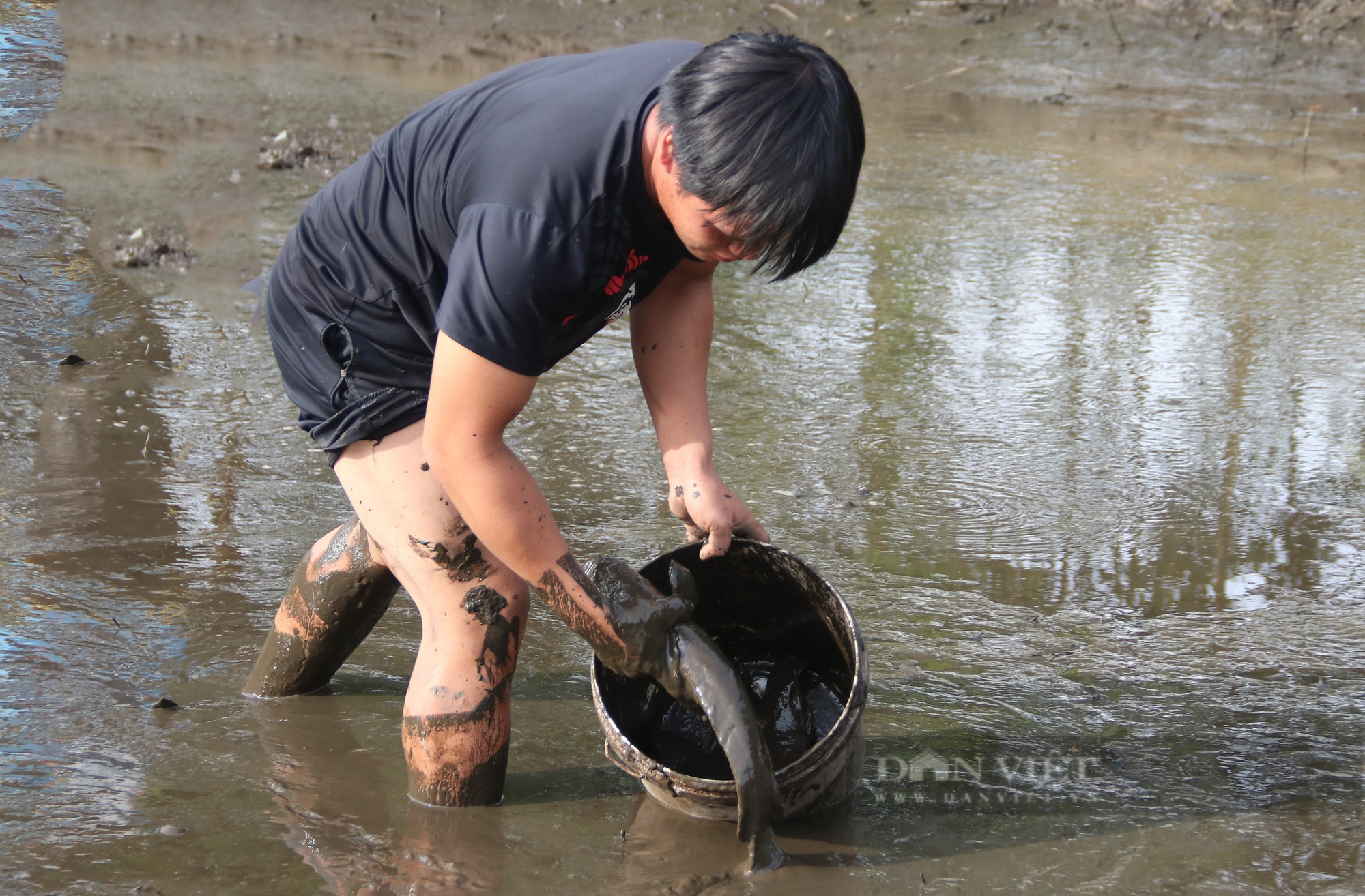 Hà Tĩnh: Người dân ngâm mình trong bùn, cầm rổ bắt những con cá to siêu to - Ảnh 9.