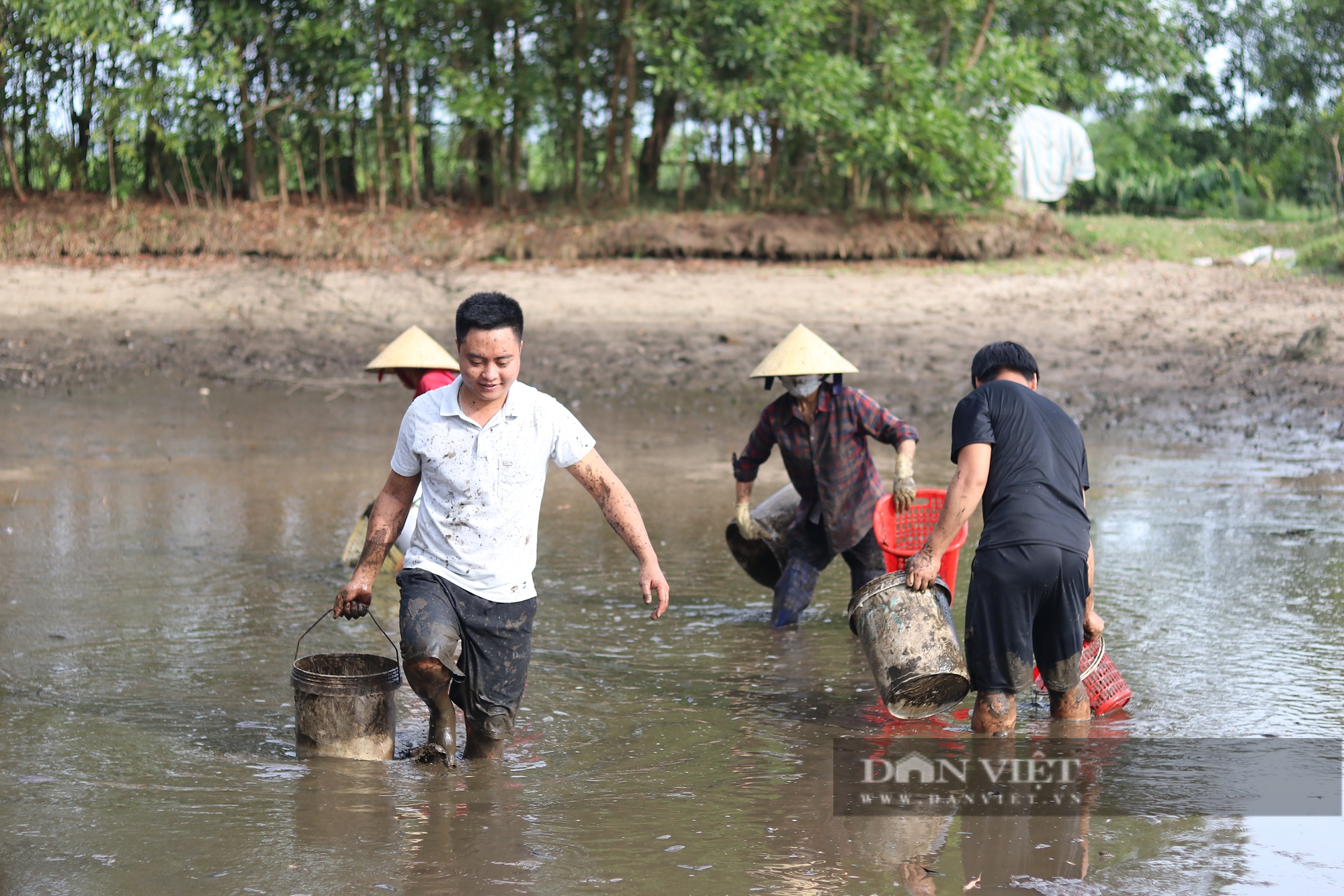 Hà Tĩnh: Người dân ngâm mình trong bùn, cầm rổ bắt những con cá to siêu to - Ảnh 14.