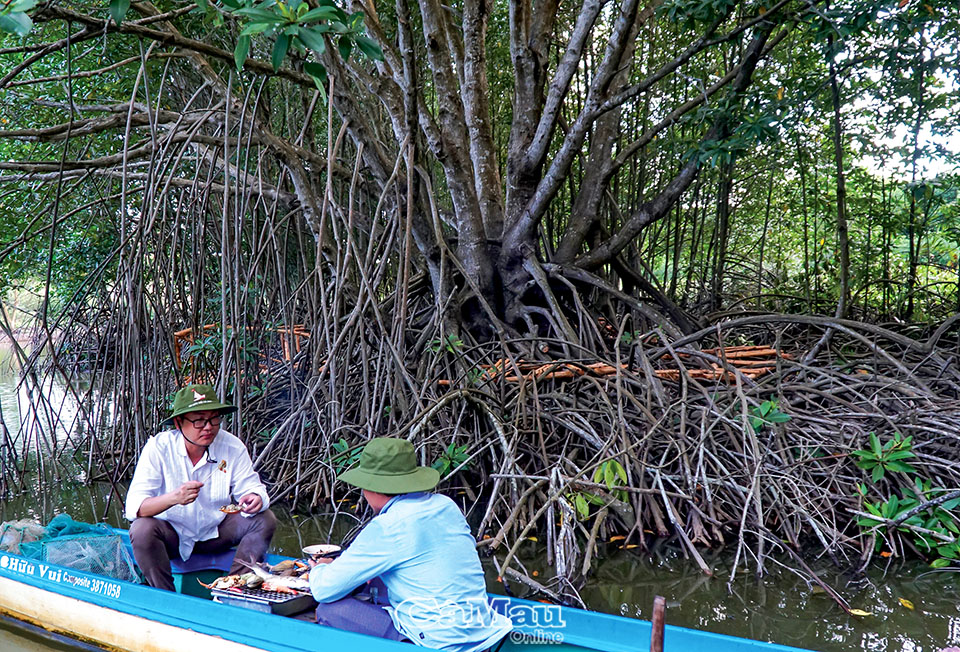 Một cây xum xuê 60 năm tuổi ở Cà Mau khiến nhiều người đến xem, ngồi dưới tán ăn đặc sản đất Mũi - Ảnh 2.