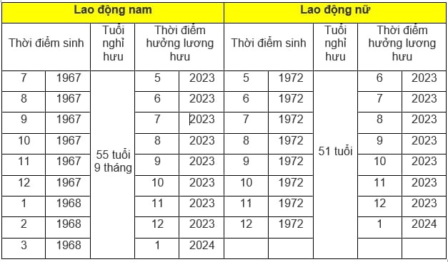 Bảng tính tuổi nghỉ hưu năm 2023 của lao động làm nghề nặng nhọc, độc hại - Ảnh 1.