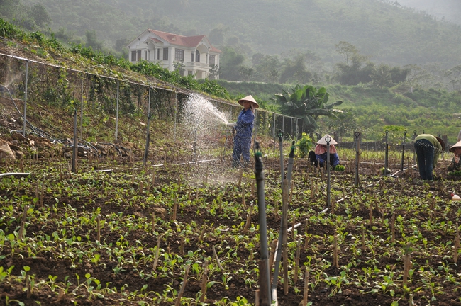 Sau 15 năm sáp nhập vào Hà Nội, thu nhập bình quân người dân huyện Thạch Thất đạt 91 triệu đồng/năm - Ảnh 2.