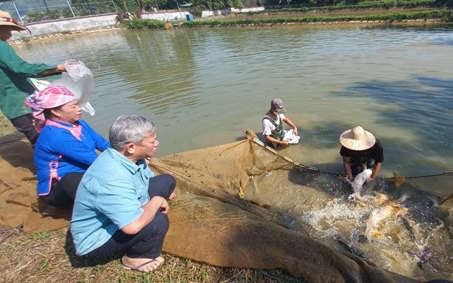 Nữ tỷ phú dân tộc Giáy ở Lào Cai phất lên nhờ nghề nuôi cá giống, nhiều người tới xem