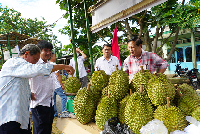 Một huyện của tỉnh Đồng Tháp lần đầu tiên tổ chức lễ hội cho một loại trái cây - Ảnh 1.