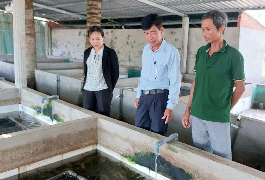 Nuôi lươn, nuôi rắn dày đặc trong bể xi măng, nông dân một xã ở Long An nhà nào nuôi là trúng - Ảnh 1.