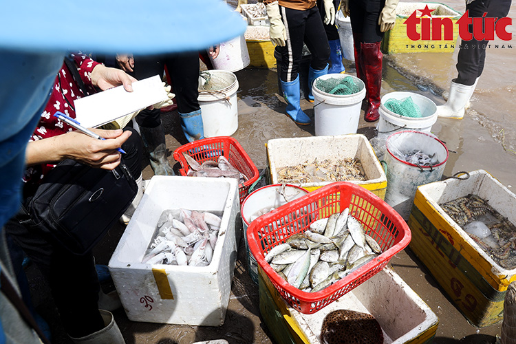 La liệt mực, tôm, cá, bề bề, ghẹ,... tươi ngon nhảy tanh tách ở chợ cá Giao Hải, Nam Định - Ảnh 7.