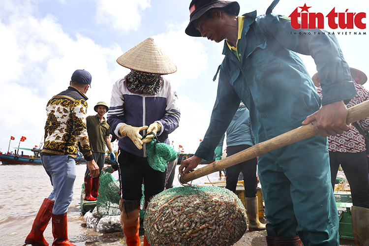 La liệt mực, tôm, cá, bề bề, ghẹ,... tươi ngon nhảy tanh tách ở chợ cá Giao Hải, Nam Định - Ảnh 6.