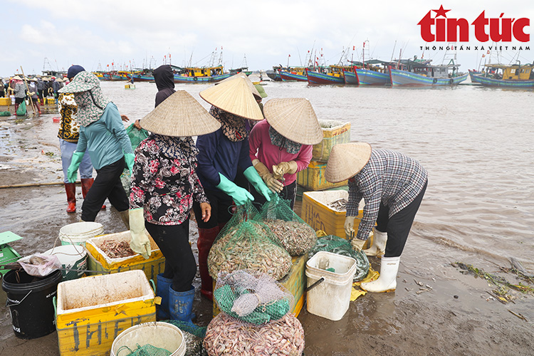 La liệt mực, tôm, cá, bề bề, ghẹ,... tươi ngon nhảy tanh tách ở chợ cá Giao Hải, Nam Định - Ảnh 10.