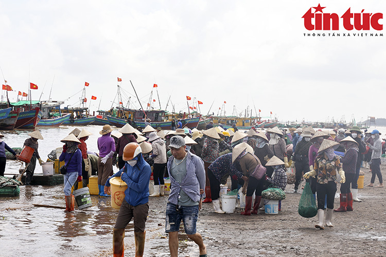 La liệt mực, tôm, cá, bề bề, ghẹ,... tươi ngon nhảy tanh tách ở chợ cá Giao Hải, Nam Định - Ảnh 5.