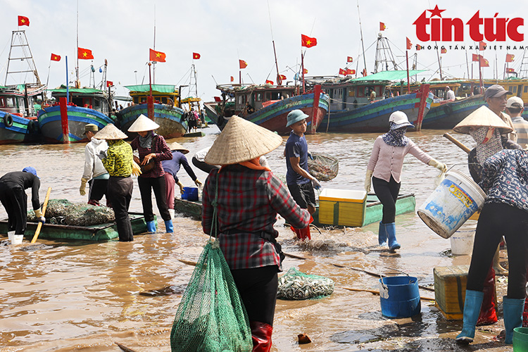 La liệt mực, tôm, cá, bề bề, ghẹ,... tươi ngon nhảy tanh tách ở chợ cá Giao Hải, Nam Định - Ảnh 4.