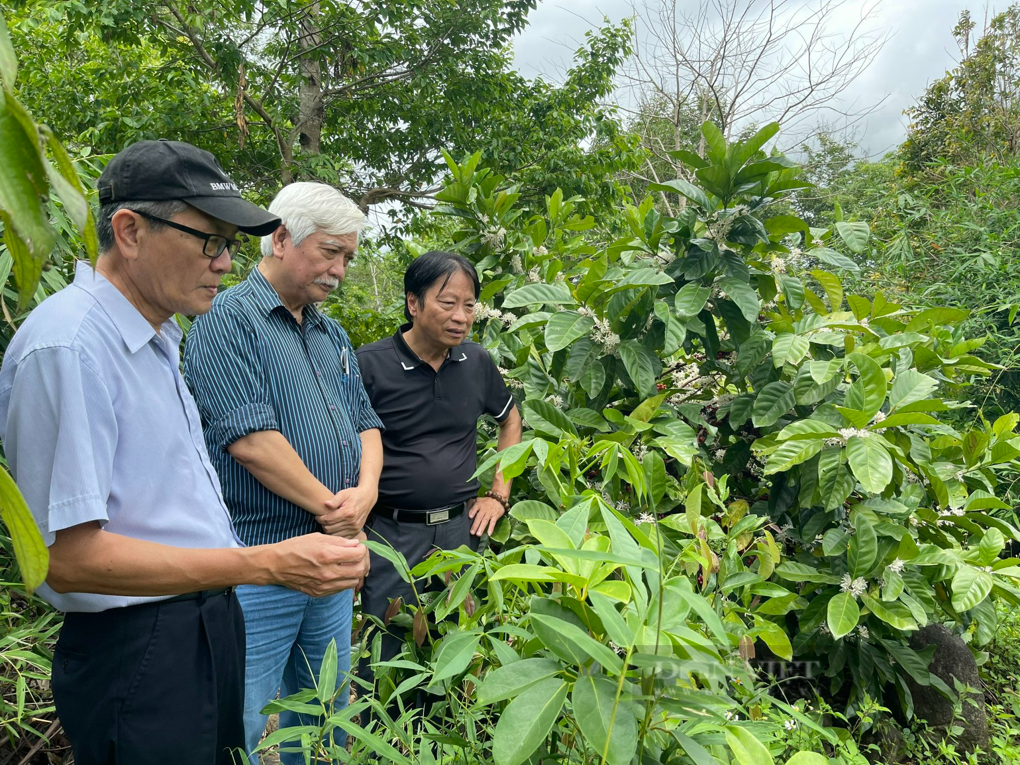 Nguyên chủ tịch tỉnh Đắk Lắk nói về cách xử lý bạo loạn năm 2001, 2004 - Ảnh 6.