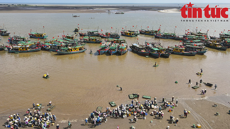 La liệt mực, tôm, cá, bề bề, ghẹ,... tươi ngon nhảy tanh tách ở chợ cá Giao Hải, Nam Định - Ảnh 2.