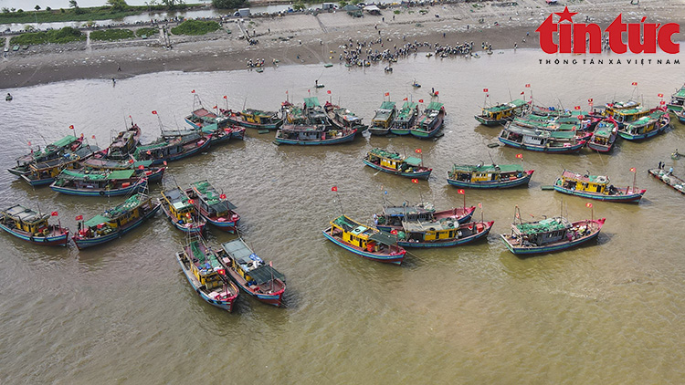 La liệt mực, tôm, cá, bề bề, ghẹ,... tươi ngon nhảy tanh tách ở chợ cá Giao Hải, Nam Định - Ảnh 14.
