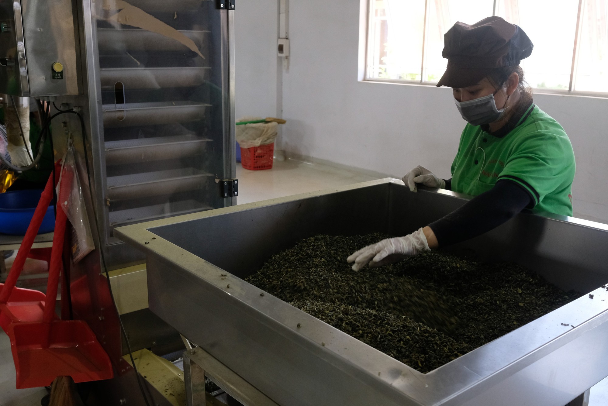 Sở Công thương báo cáo tỉnh Lâm Đồng thông tin sử dụng hóa chất nhuộm chè xuất khẩu - Ảnh 4.