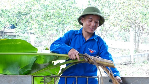Nuôi la liệt lợn rừng lai nhai lá chuối rau ráu, một anh nông dân đất Yên Lập ở Phú Thọ kiếm bộn tiền - Ảnh 2.