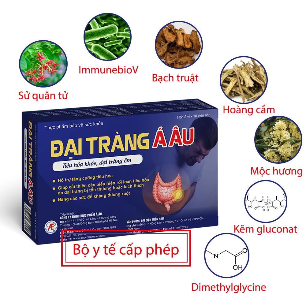 Đại tràng Á Âu - Giải pháp vàng giúp Tiêu hóa khỏe, đại tràng êm - Ảnh 2.