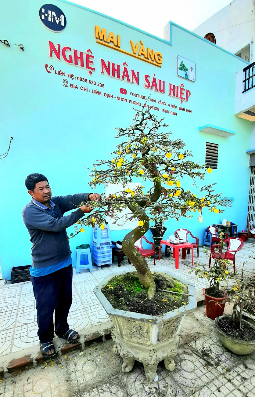 Trồng loại cây cảnh một năm chỉ nở hoa rộ một lần, một nông dân ở Bình Định thu nhập tiền tỷ - Ảnh 1.