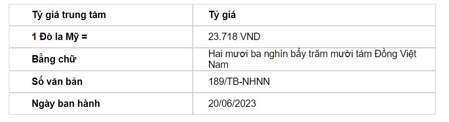 Tỷ giá USD hôm nay 20/6: USD dần phục hồi sau tuần giảm mạnh - Ảnh 2.