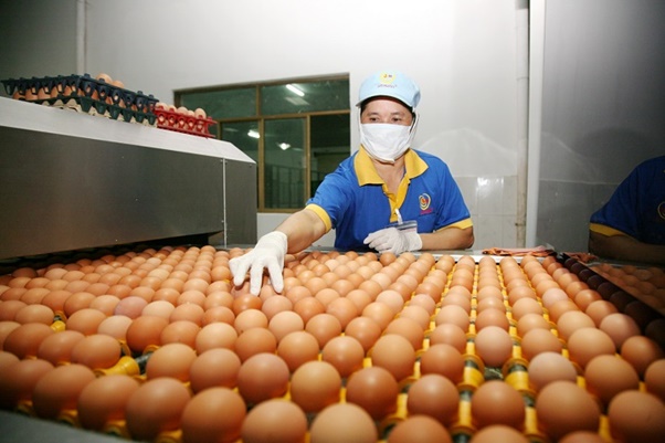 Công bố hạn ngạch thuế quan nhập khẩu muối, trứng gia cầm năm 2023 - Ảnh 1.