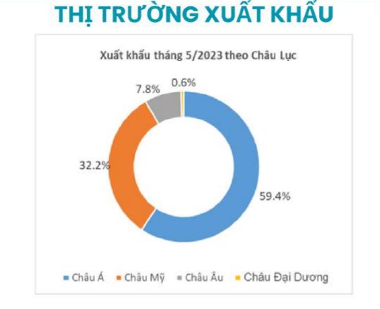 Dệt may Thành Công (TCM) báo lãi vẫn đang tiếp tục giảm so với cùng kỳ - Ảnh 2.