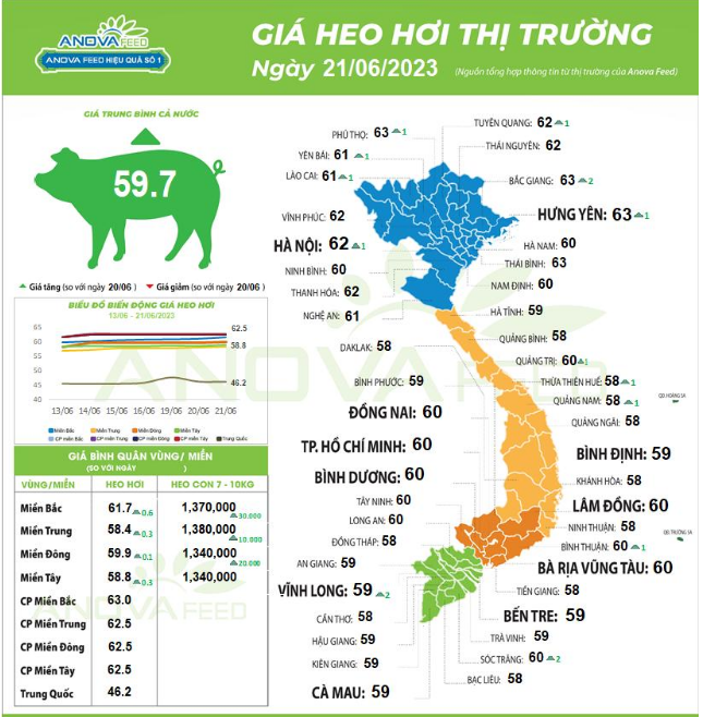 Lượng cung vẫn đang ghi nhận bị thiếu hụt, dự kiến giá lợn hơi sắp cán mốc 65.000 đồng/kg - Ảnh 1.