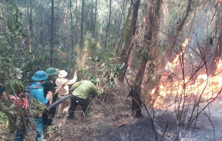 Hà Tĩnh: Hàng trăm người lao vào rừng dập tắt đám cháy ở Thượng Lộc - Ảnh 3.