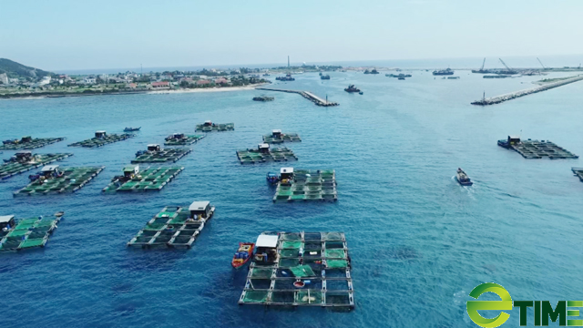 Phó Chủ tịch tỉnh Quảng Ngãi lên tiếng về dự án nuôi trồng thủy sản triệu đô trên biển - Ảnh 3.