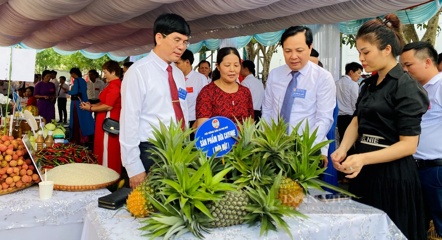 Hội Nông dân tỉnh Phú Thọ: Dấu ấn đậm nét một nhiệm kỳ - Ảnh 2.