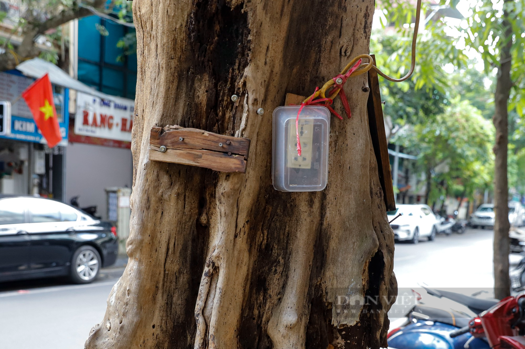 Nhiều cây cổ thụ chết khô trên các tuyến phố Hà Nội, nguy cơ đổ khi giông bão - Ảnh 6.