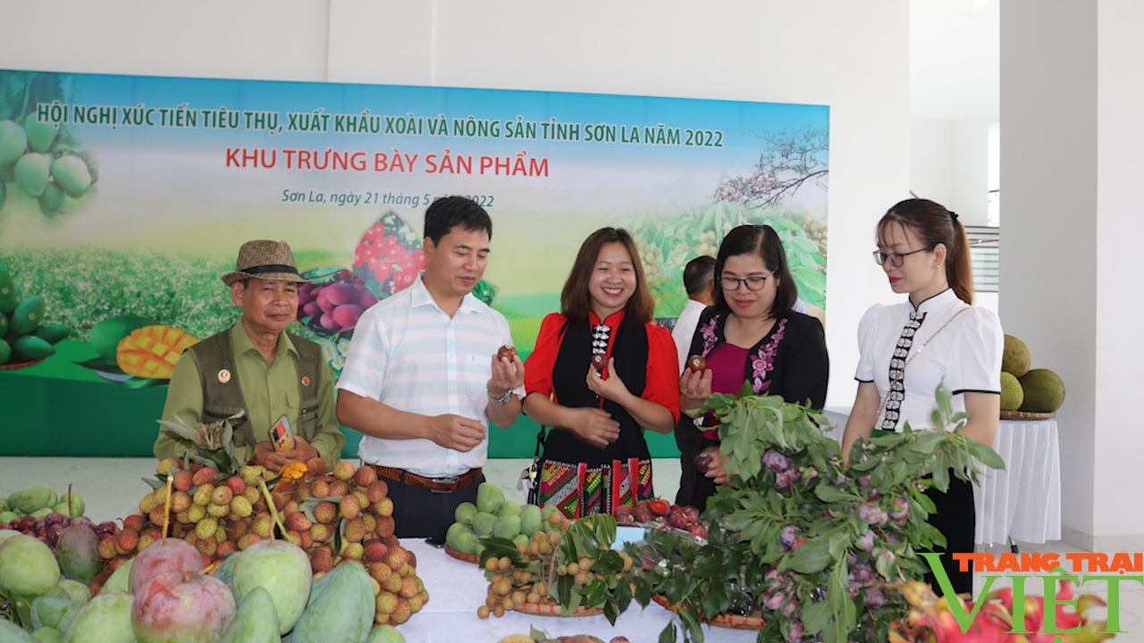Sơn La: Tập trung phát triển nông nghiệp công nghệ cao - Ảnh 7.