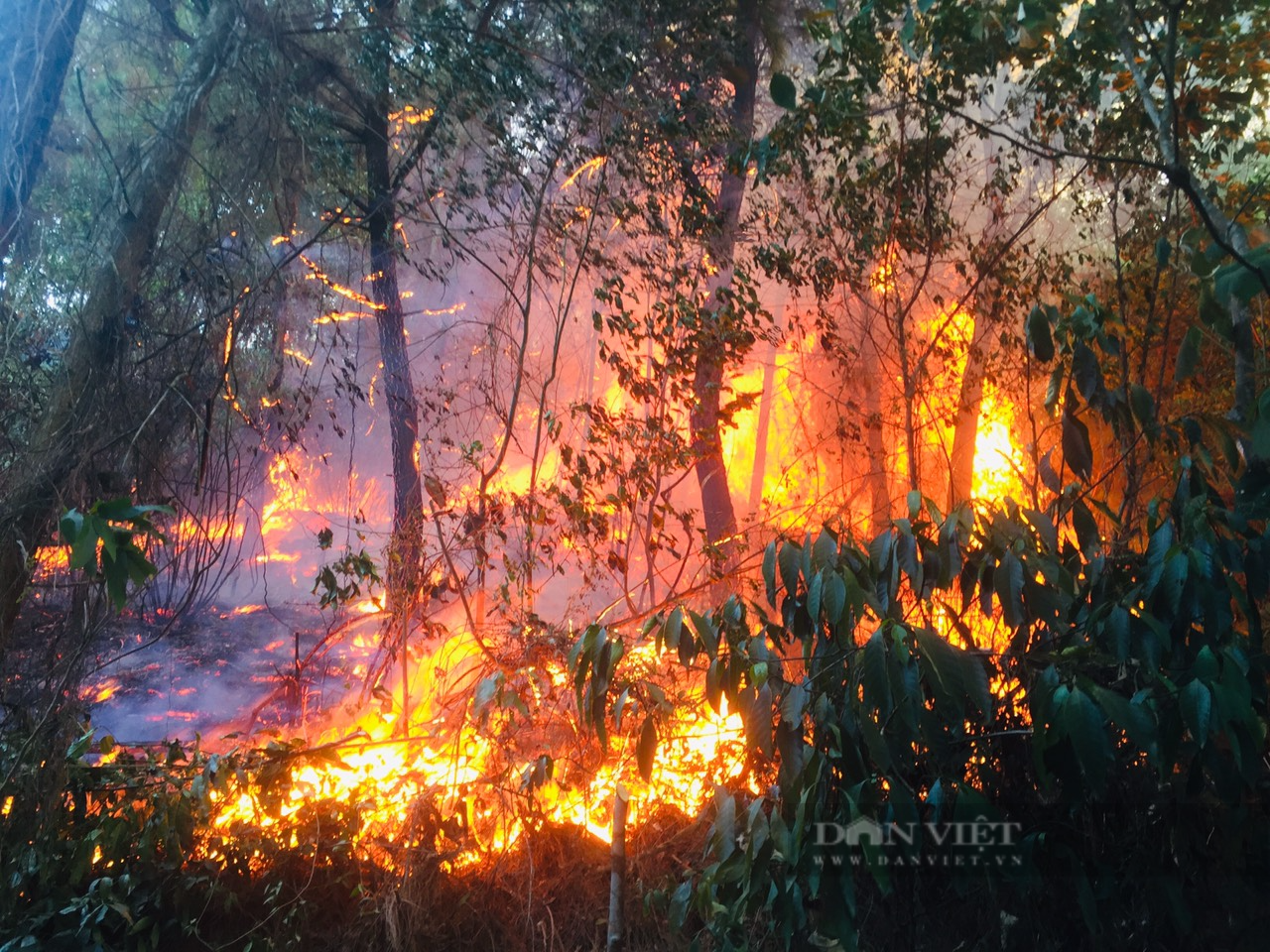 Hà Tĩnh: Hàng trăm người lao vào rừng dập tắt đám cháy ở Thượng Lộc - Ảnh 1.