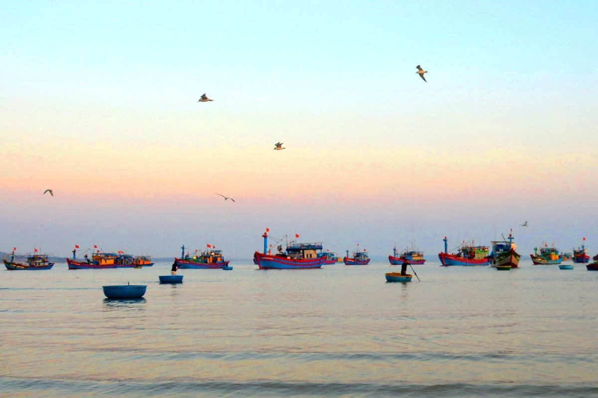 Chợ quê lập từ thời nhà Nguyễn ở Quảng Ngãi họp ngay mép sóng, trên trời dưới toàn cá tươi ngon - Ảnh 5.