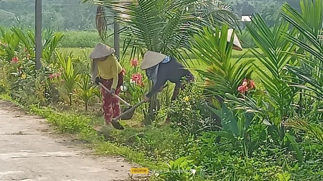Tuyến đường hoa, cây xanh đẹp như mơ ở một xã của Quảng Nam do cán bộ, hội viên, nông dân trồng, chăm sóc - Ảnh 3.