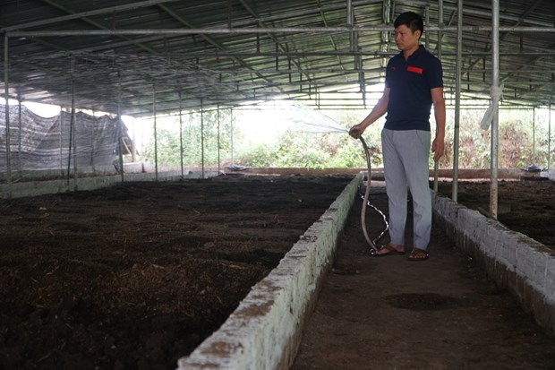Một anh nông dân Thanh Hóa thu lời 500 triệu/năm nhờ nuôi giun quế - Ảnh 1.