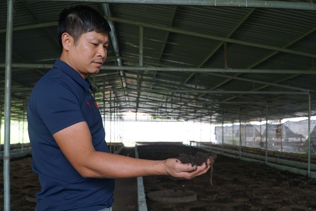 Một anh nông dân Thanh Hóa thu lời 500 triệu/năm nhờ nuôi giun quế - Ảnh 2.