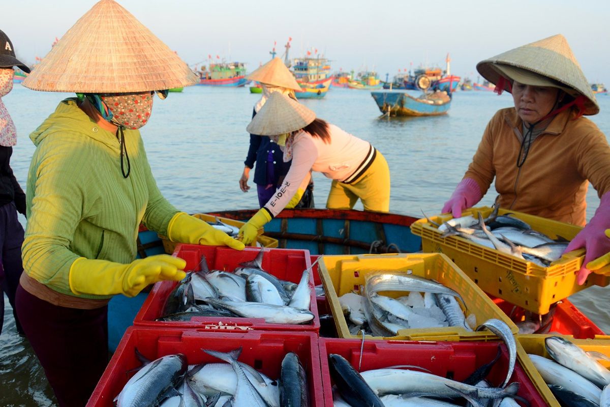 Chợ quê lập từ thời nhà Nguyễn ở Quảng Ngãi họp ngay mép sóng, trên trời dưới toàn cá tươi ngon - Ảnh 2.