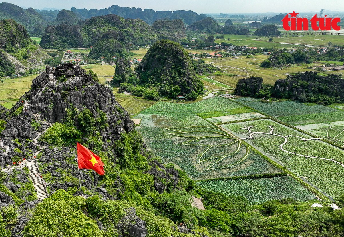 Bạt ngàn cánh đồng sen bung lụa dưới chân núi Ngọa Long, Ninh Bình - Ảnh 2.