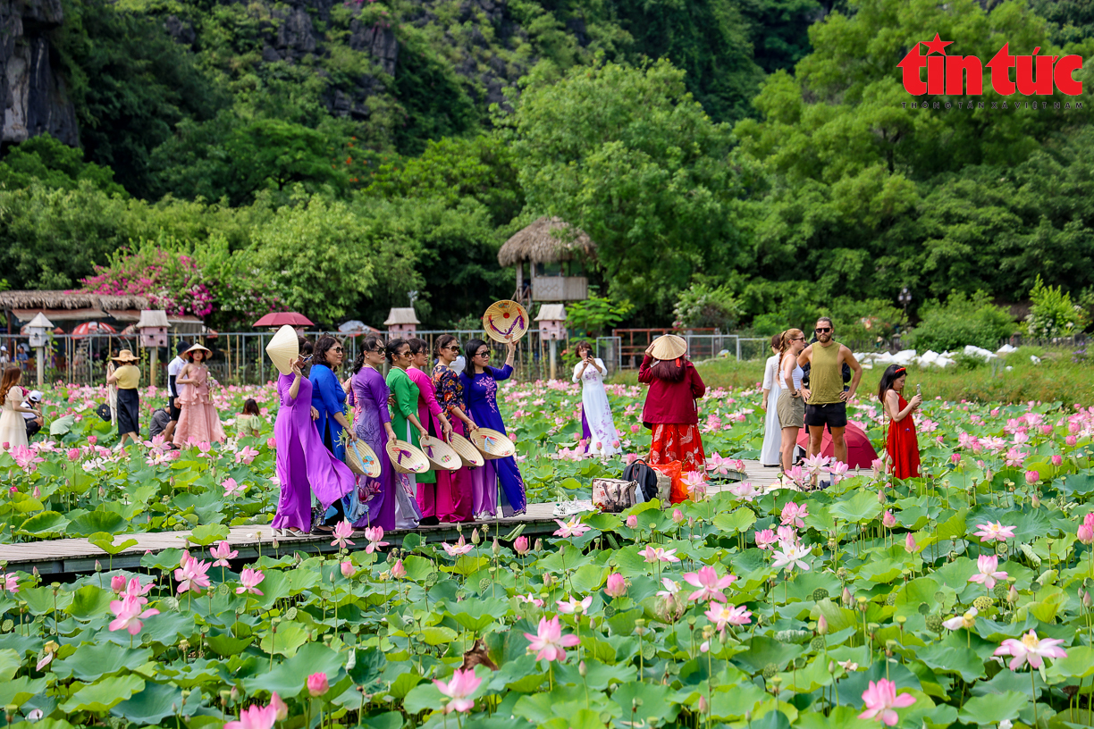 Bạt ngàn cánh đồng sen bung lụa dưới chân núi Ngọa Long, Ninh Bình - Ảnh 6.