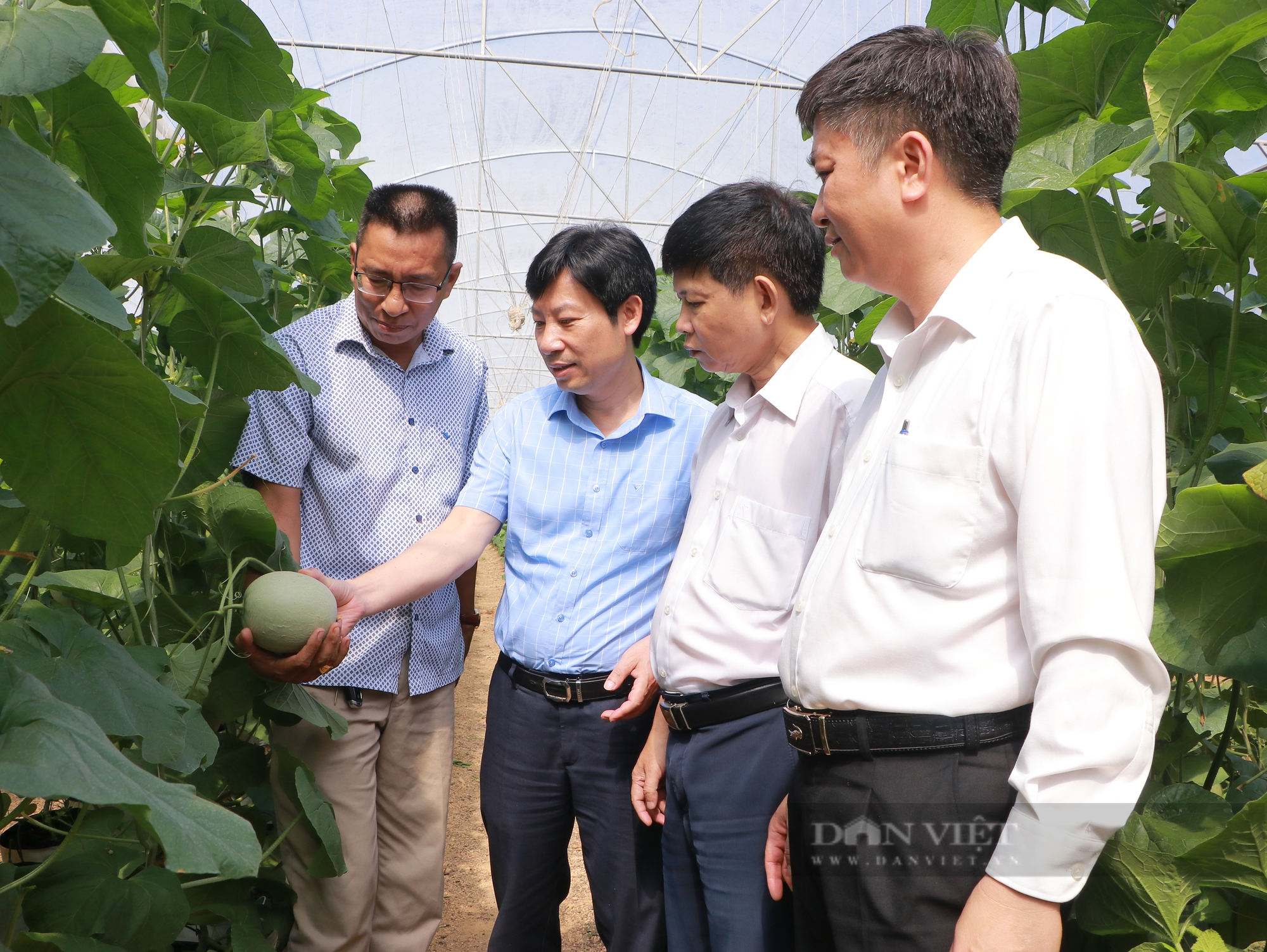Phó chủ tịch TƯ Hội Nông dân Việt Nam Nguyễn Xuân Định thăm các mô hình trồng cây ăn trái tại Bình Phước - Ảnh 1.