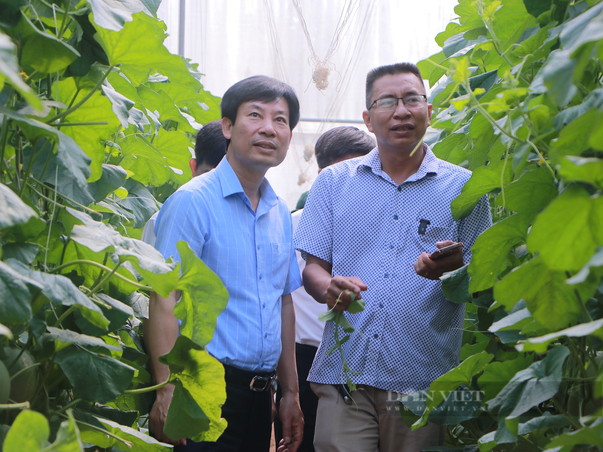 Phó chủ tịch TƯ Hội Nông dân Việt Nam Nguyễn Xuân Định thăm các mô hình trồng cây ăn trái tại Bình Phước - Ảnh 2.